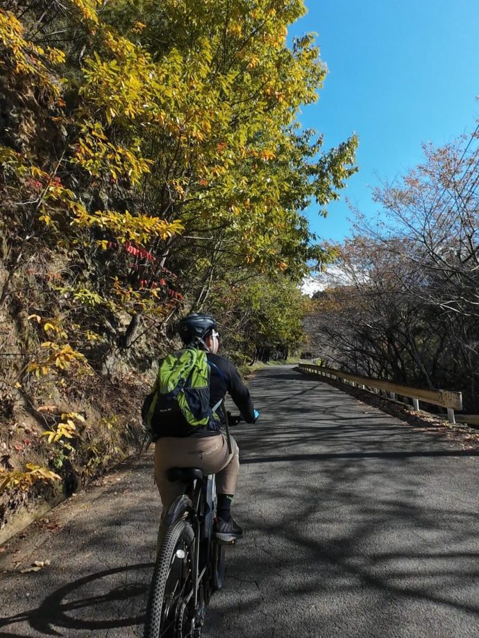 dji_export_photo_20251123124359976